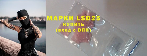 ECSTASY Белая Холуница