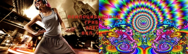 эйфоретик Надым