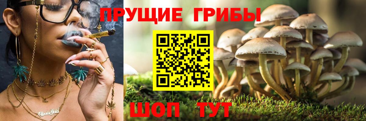 Киров  наркотики  Вход с VPN  Галлюциногенные грибы мицелий 