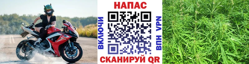 Бошки Шишки ГИДРОПОН  Киров 